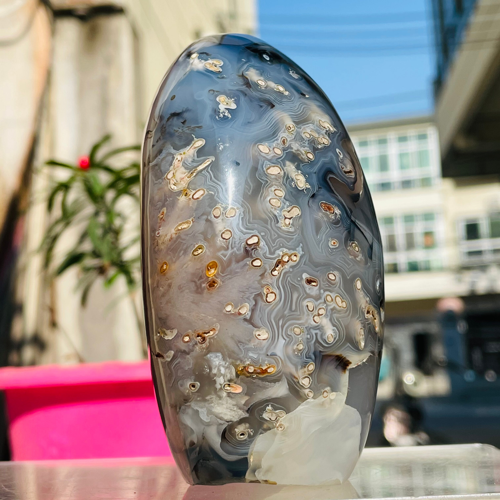 437g Natural Dendritic Agate Crystal Polishing Palm Stone Specimen