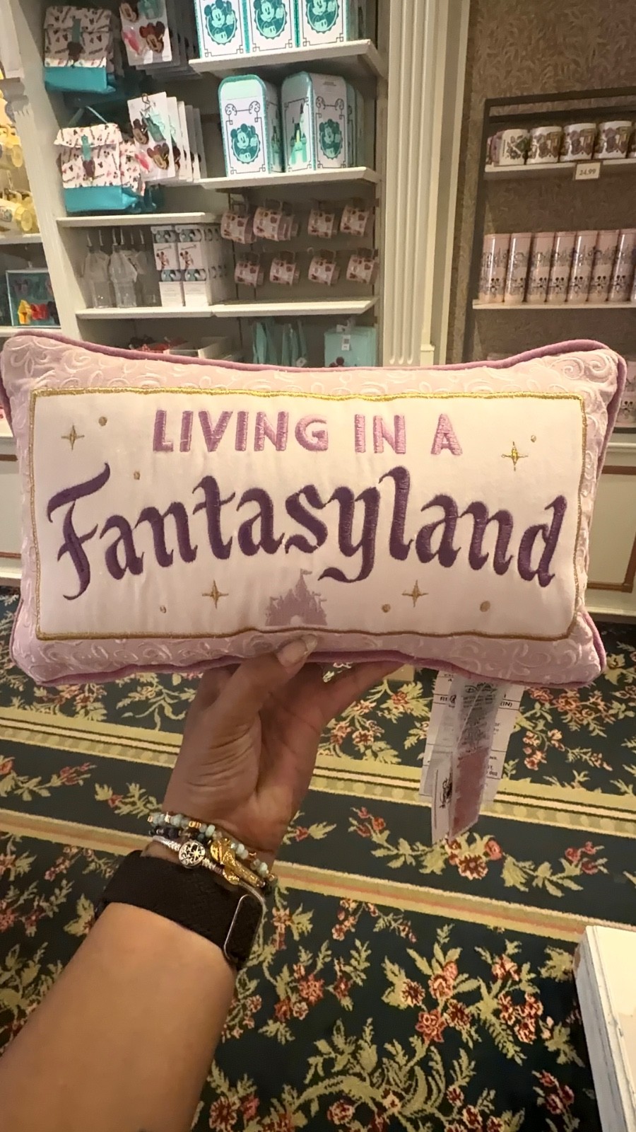 🆕 Disneyland Resort Living in a Fantasyland Pillow