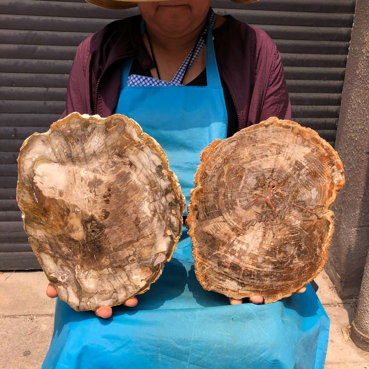 2pc 8.44LB Natural Petrified Wood Crystal Fossil Slice Shape Specimen Healing