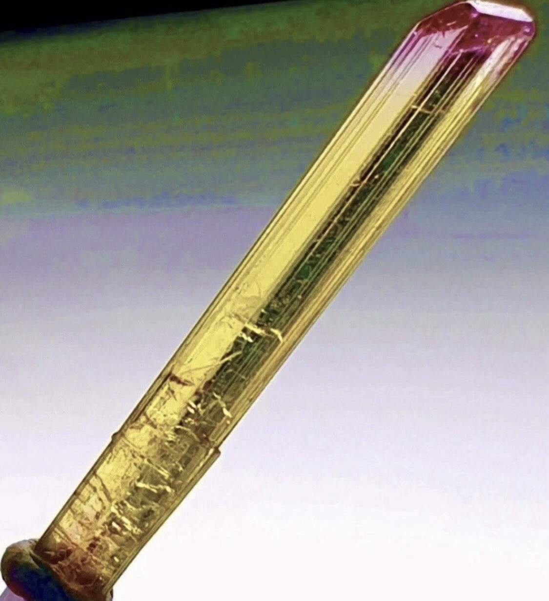 Rarest Red Cap Gold Tourmaline Crystal Perfect Natural Raw Specimen Untreated