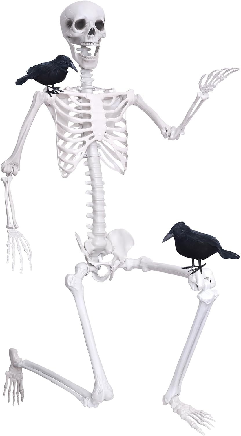 Wocst 6Ft Life Size Skeleton Posable Skeleton with Movable Joints Halloween Full