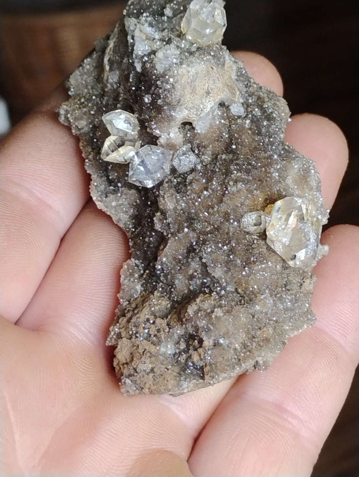 Herkimer Diamond Perchers On Druzy Matrix Mineral Specimen