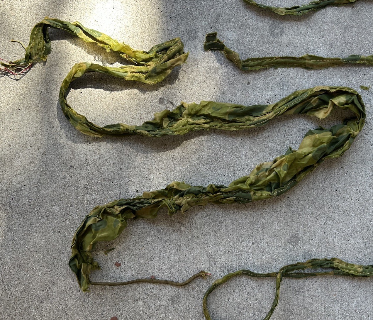 ORIG 18 Yards WWII US Army Parachute Paracord Surrounded by Camo Chute Remnants