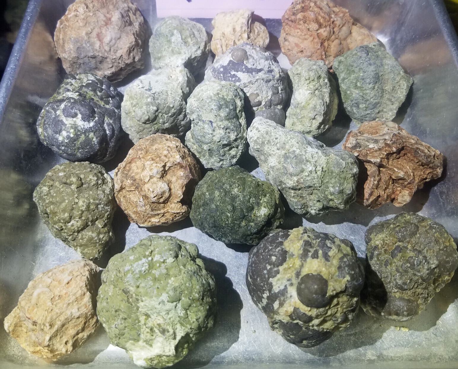 (5 lb LOT) = ( 15 to 19 Uncut Rough Oregon Thundereggs) Wildcat Beds Old Stock