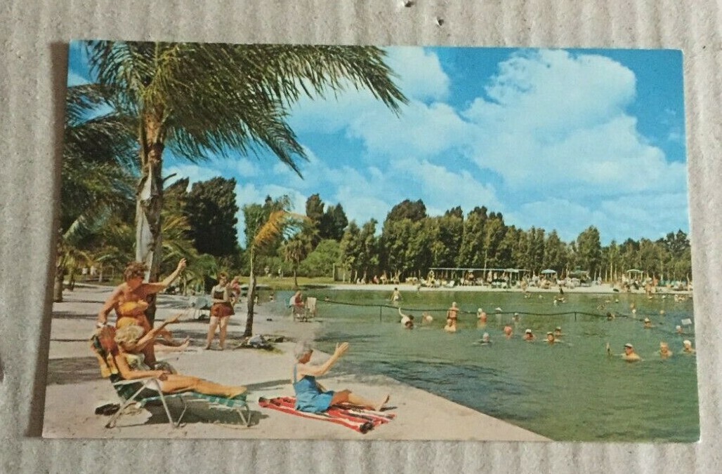 VINTAGE UNUSED  POSTCARD WARM MINERAL SPRINGS SOUTH OF VENICE, NORTH PORT? FLA