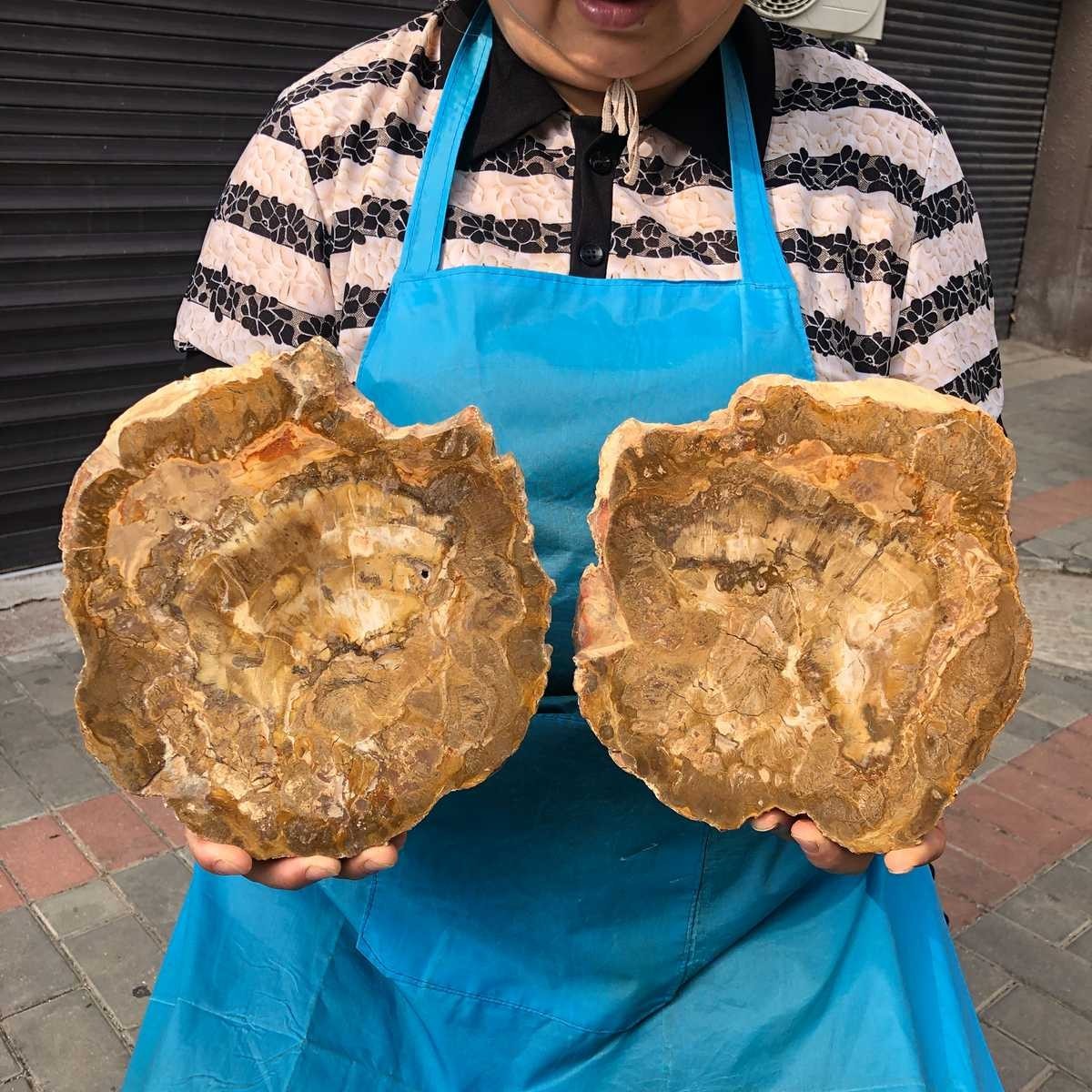 2pc 6.66LB Natural Petrified Wood Crystal Fossil Slice Shape Specimen Healing