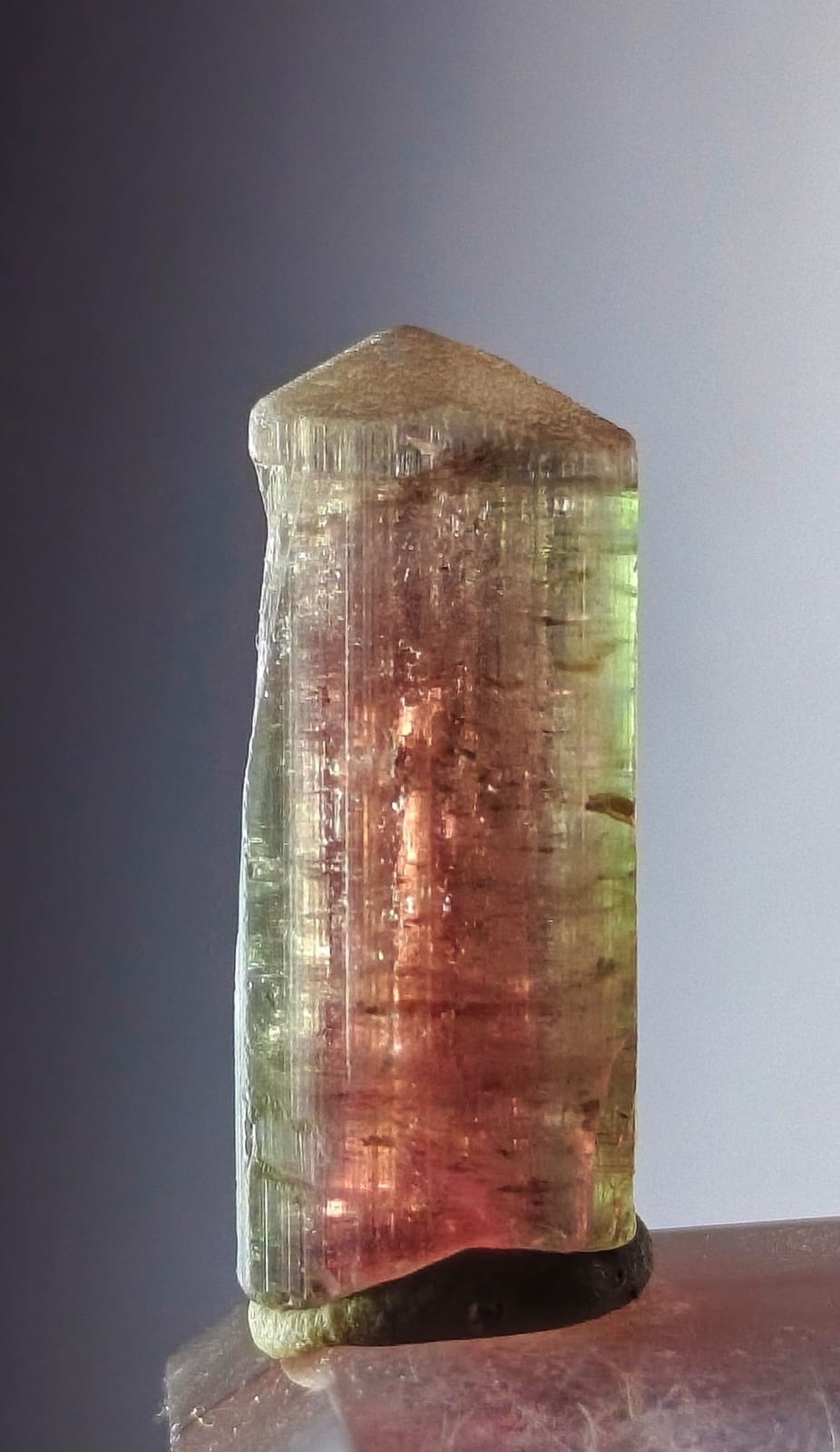 Naturel Top Quality Rare Bicolor Greencap Watermelon Tourmaline Specimen