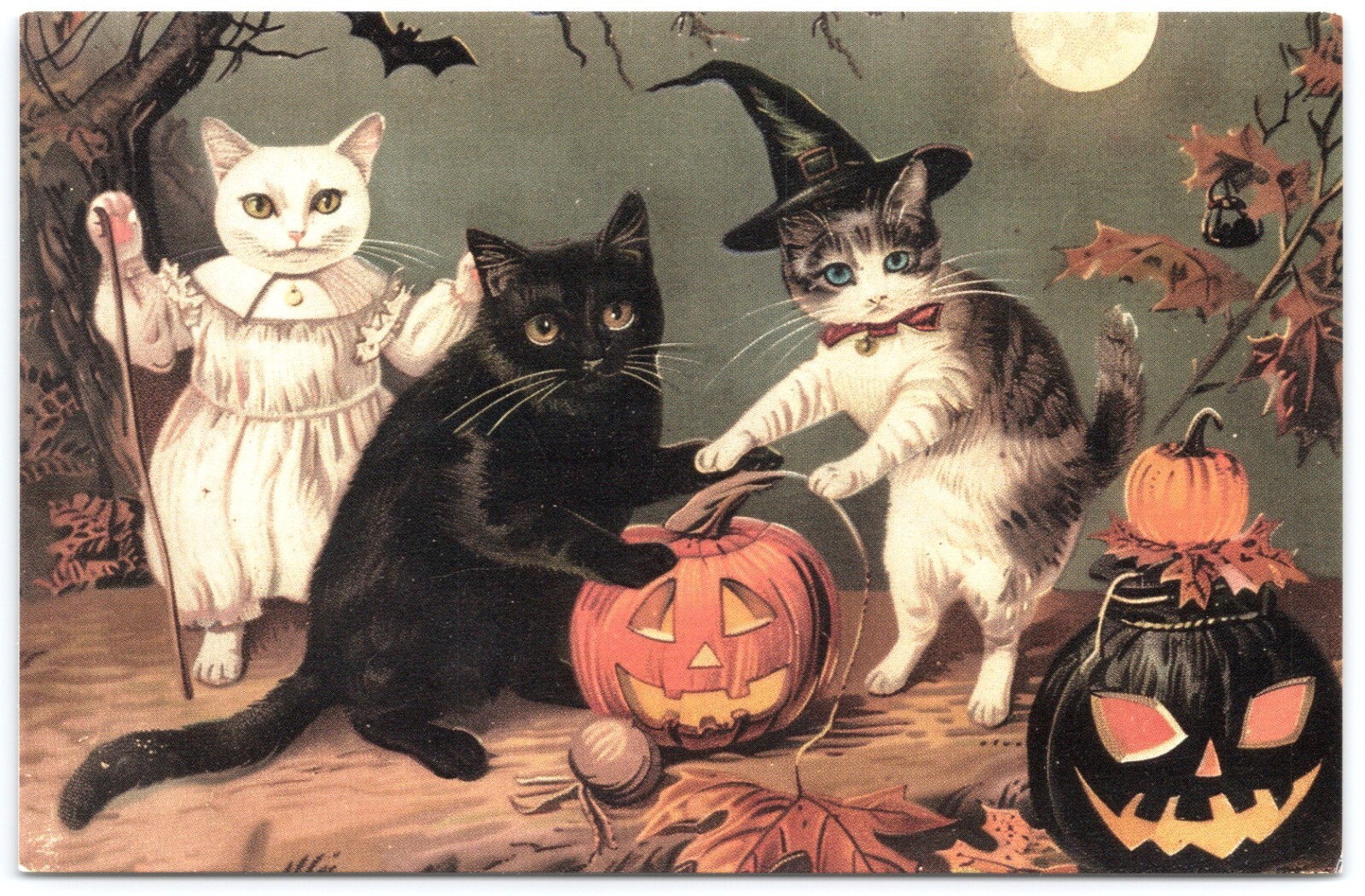 3 Cats JOL Modern Halloween Postcard Standard Size Witch Black White Kitten Moon