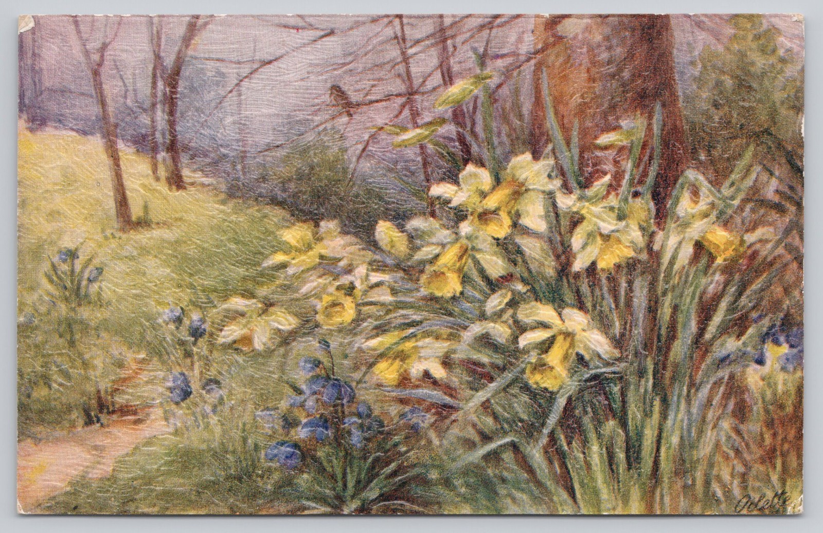 Raphael Tuck Oilette Woodland Walks Daffodils A L Pressland Postcard