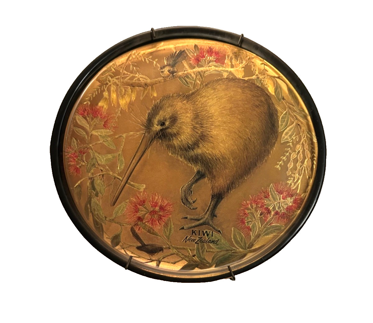 Vintage New Zealand Acrylic  Souvenir Fiordland Kiwi Plate 9\