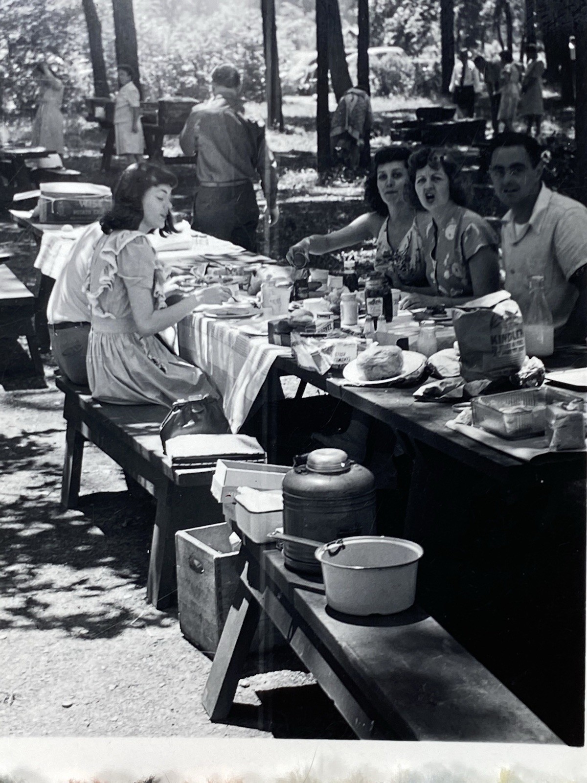 4th Of July Picnic 1946.  Woman Yelling At Photographer.  Lots Happening. (C)