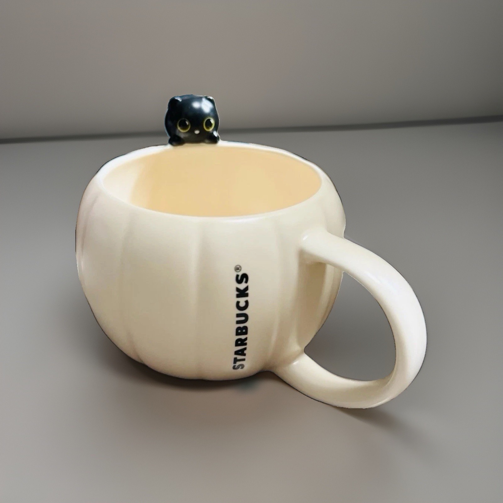🖤NWT Starbucks 2026 Limited Edition Black Cat Pumpkin Mug