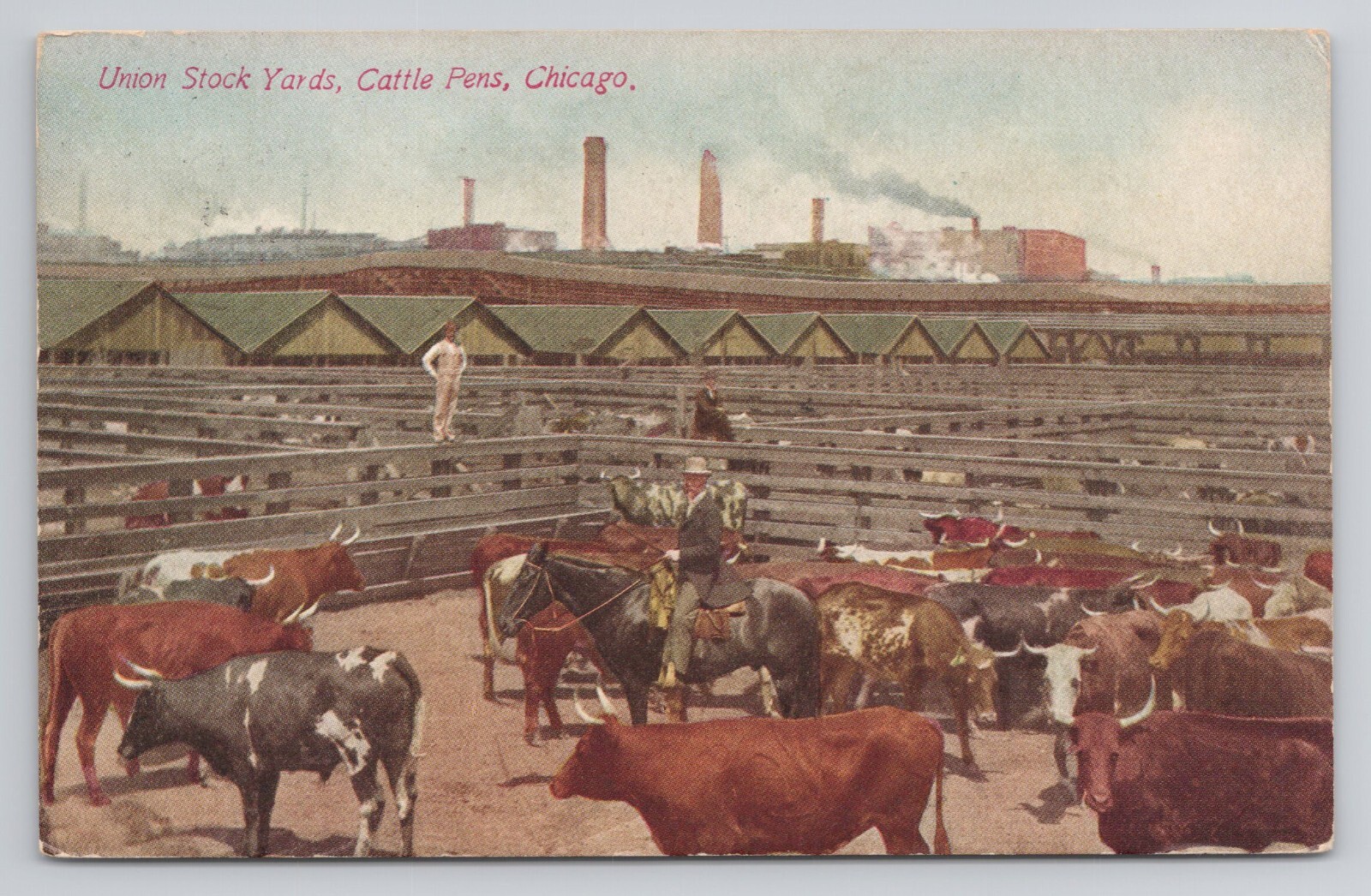 Union Stock Yards Cattle Pens Chicago Illinois c1913 Postcard