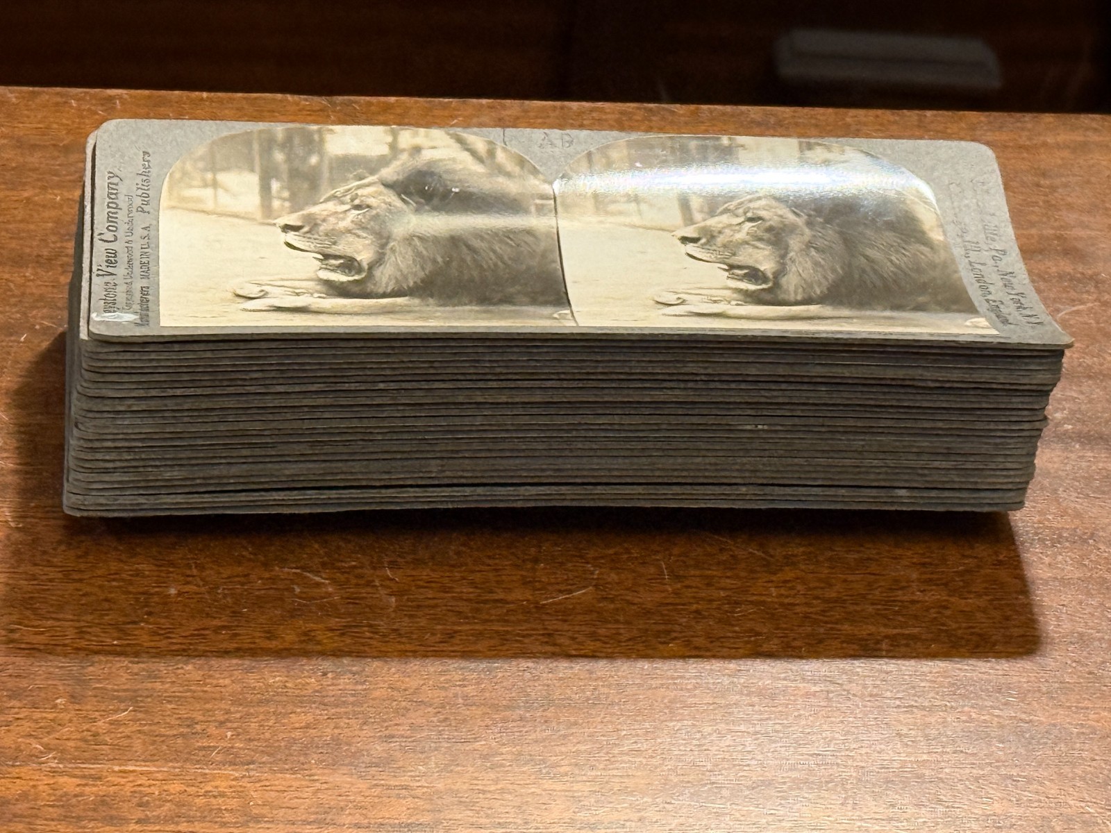 Lot of 26 Keystone ANIMAL views