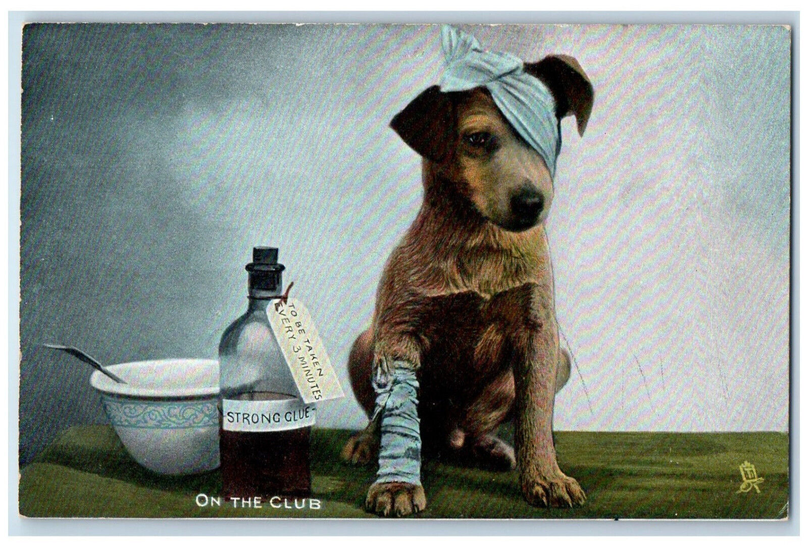Postcard Injured Puppy Being Treated Medicine Bowl c1910 Photochrome Tuck Dogs
