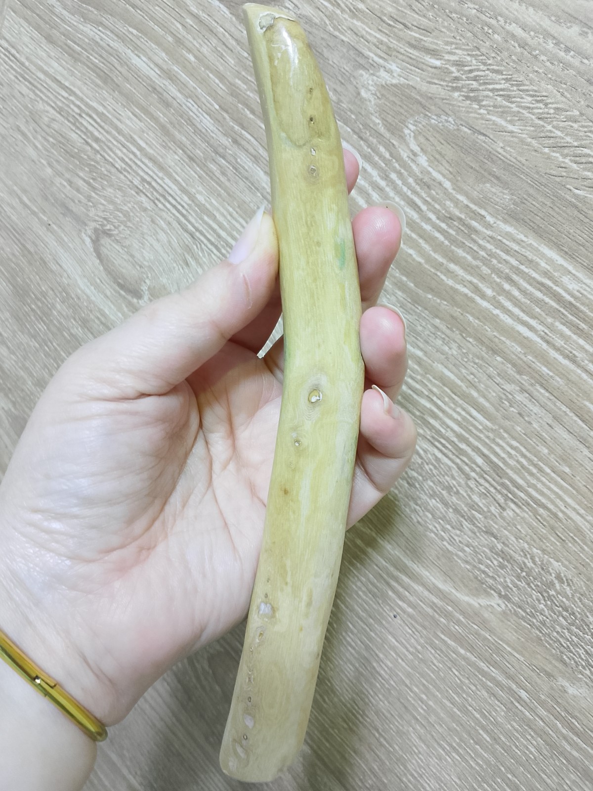 Genuine Very Rare Golden Coral Branch 140 g Natural Specimen for jewelry 25 cm
