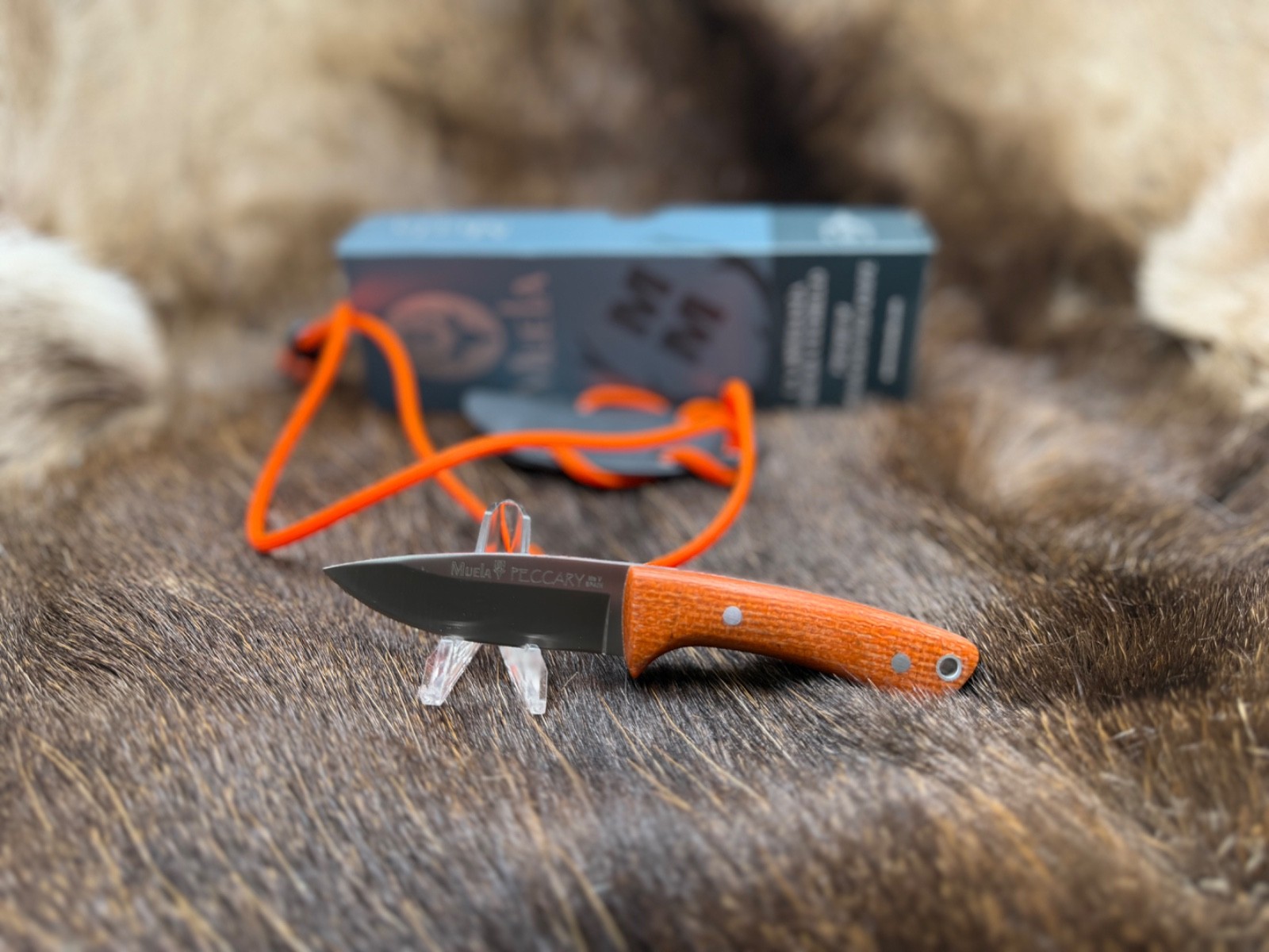 Muela Hand Crafted Peccary Knife Orange Handles With Sheath Mint In Box