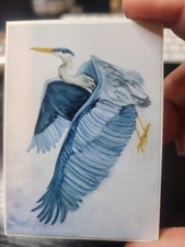 Mini Heron Watercolor Study, 2.5 x 3.5 ACEO Print picture