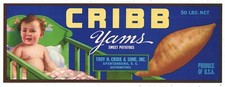 CRIBB {BABY in CRIB} YAMS ANTIQUE PAPER CRATE LABEL SPARTENBURG SC UNUSED picture
