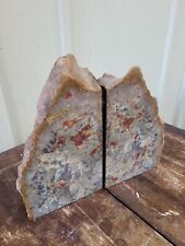 *Rare* Large 11 LBS Coprolite Dinosaur Dung BOOKENDS Polished Inside/Natural Out picture