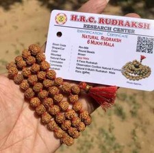 LAB CERTIFIED Rare 6 Mukhi RUDRAKSHA Rudraksh Mala ROSARY 108+1 Prayer Beads picture