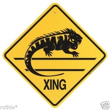 Iguana Crossing Xing Sign New 14 3/8 x 14 3/8 picture