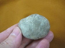 (F831-213) 1-3/4