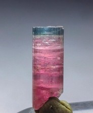 Naturel Top Quality Rare Bicolor Bluecap Watermelon Tourmaline Specimen picture