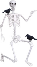 Wocst 6Ft Life Size Skeleton Posable Skeleton with Movable Joints Halloween Full picture