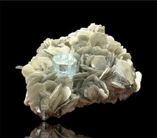 Aquamarine Crystal On Flower Muscovite From Pakistan 450 Grams picture