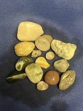 Freshly Pulled Raw Fossils Coral Petoskey Stones Quarts From Great Lake Huron Mi picture