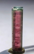 Naturel Top Quality Rare Bicolor Green Cap Watermelon Tourmaline Specimen picture
