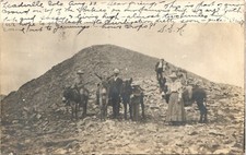 MULE PARTY leadville co real photo postcard rppc colorado donkeys mules picture