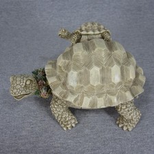 Tortoise on Tortoise in Tortoise Trinket Box - Turtles picture