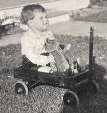1925 Boy Holding Stuffed Animal Teddy Bear Wagon San Diego California Real Photo picture