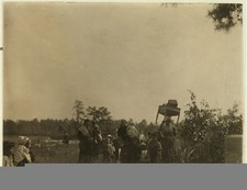 Photo:Browns Mills New Jersey 1910 Cranberry Pickers Whites Bog picture