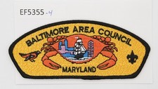 Boy Scout CSP Baltimore Area Council picture
