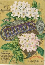 1900 John Lewis Childs Floral Park NY Mayflower Verbena Catalog Cover Ad picture