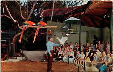 Parrot Bowl Show Parrot Jungle Cockatoos Macaws Miami Florida FL Postcard UNP picture