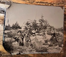 Half Plate Ambrotype Photo Blueberry Pickers 1850s Rare Outdoor picture