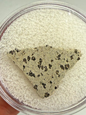 MUSEUM QUALITY RARE TARKINT 001 MARTIAN SHERGOTTITE METEORITE 1.5 GMS picture