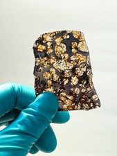 10g Sericho Pallasite Meteorite Slice From Kenya With A Certificate picture