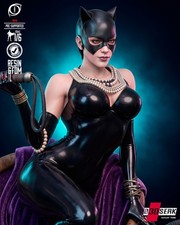1:6 Catwoman DC Comics Fan Art UNPAINTED Resin Garage Kit picture
