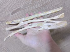 Genuine Very Rare Golden Coral Branch 165 gram Natural Specimen for jewelry picture
