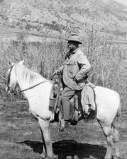 1910 THEODORE 'TEDDY' ROOSEVELT Glossy 8x10 Photo President at Badlands Print picture
