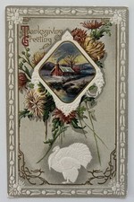 1909 Embossed Thanksgiving Postcard Turkey Cabin Scene Chrysanthemums Series 927 picture