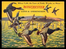 Winchester Guns & Ammunition z51 Metal Sign 3 Sizes to Choose From picture