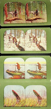 Lot of 4 Antique Stereoview Stereoscope Cards Original-Mixed Lot -E5L-2 picture