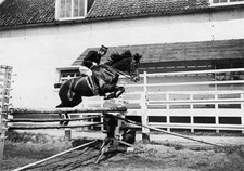 Belgium Flanders Riding School in Ypres rider jumping with his hor- Old Photo picture