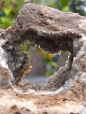 Unique Herkimer 💎 Beautiful 😍 Matrix Specimen 👁 ❤️ NY picture